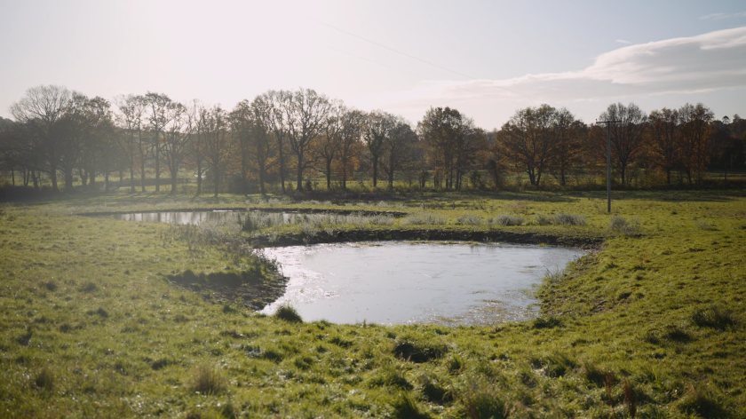 Wildlife ponds are helping improve habitats and biodiversity across farmland