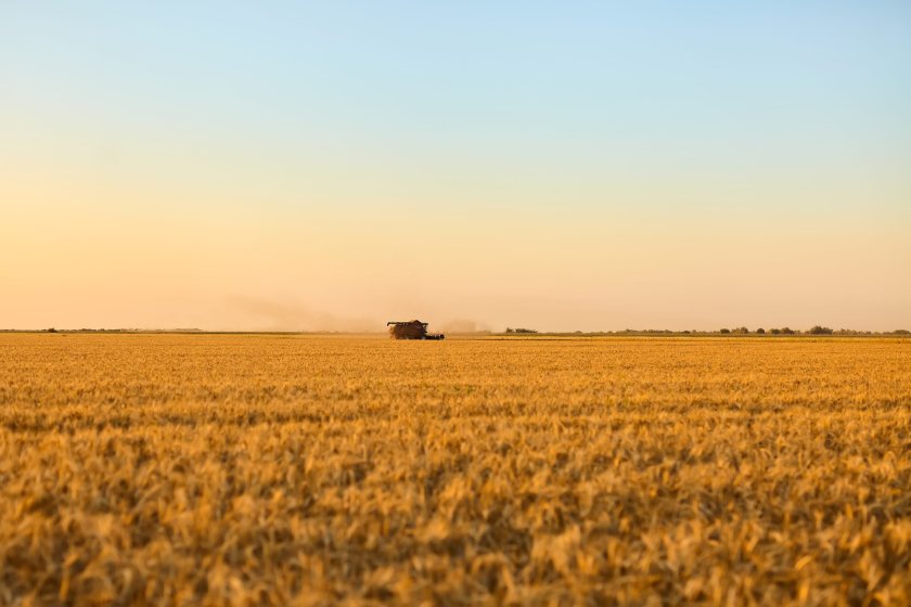 Dry conditions leave major UK crops below five-year average