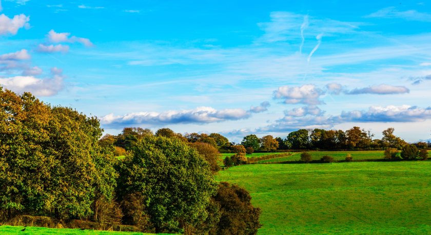 Countryside campaigners using the polling to renew its call for a “rural reset” in government policy
