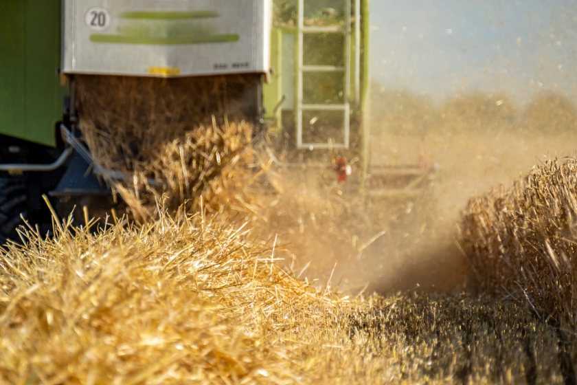 Poor harvest sparks NFU call for emergency farm support
