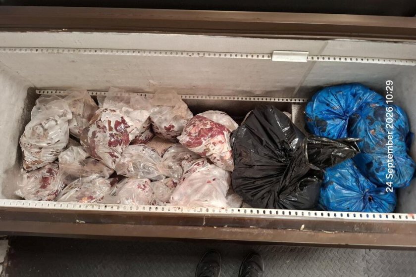 Man arrested as 158kg of meat seized in 'smokies' crackdown