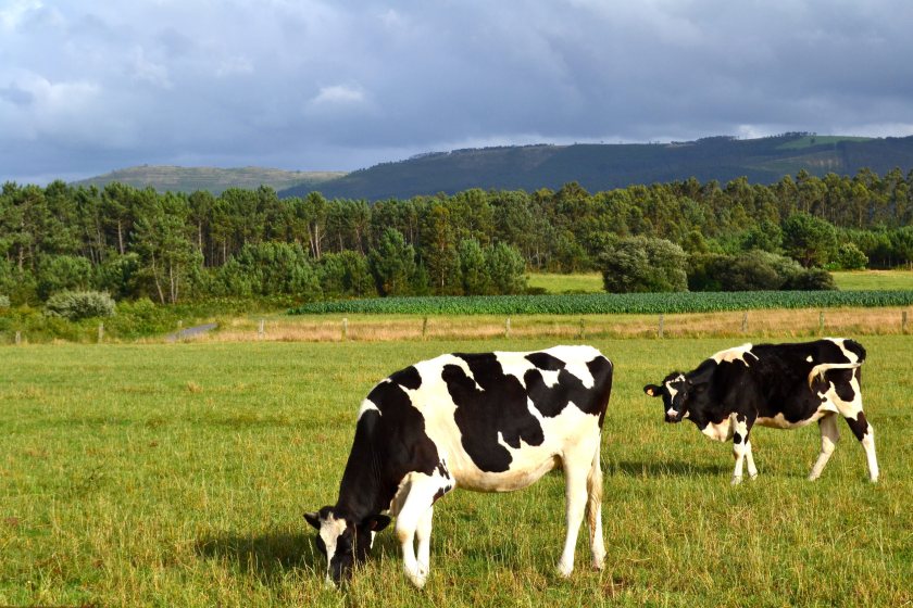 NFU Scotland demands action over 28p Skelmersdale milk price