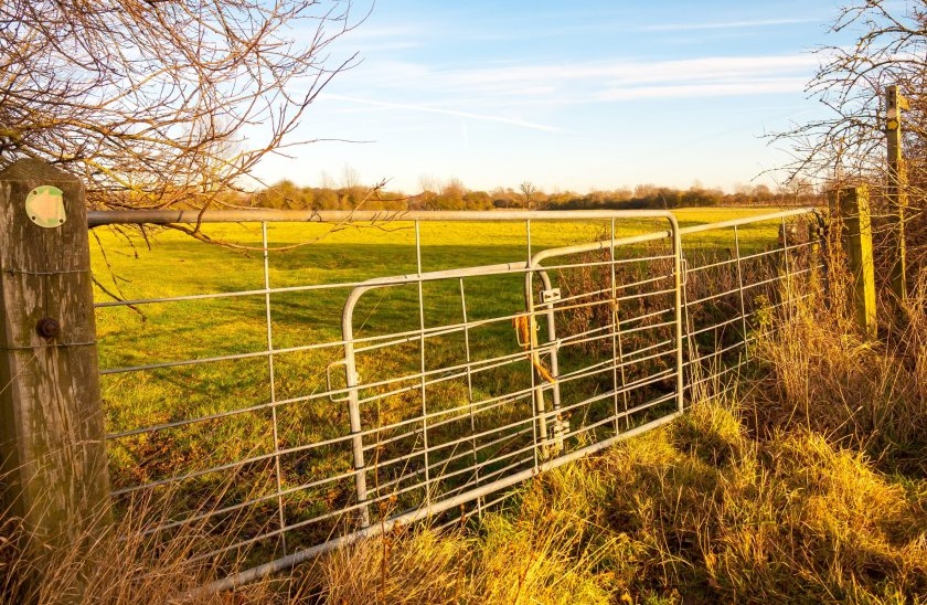 Dementia diagnosis can leave farms exposed without legal planning