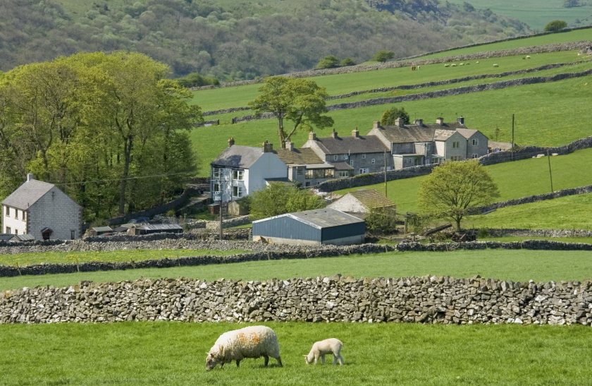 Nine in ten rural firms pause investment amid tax concerns