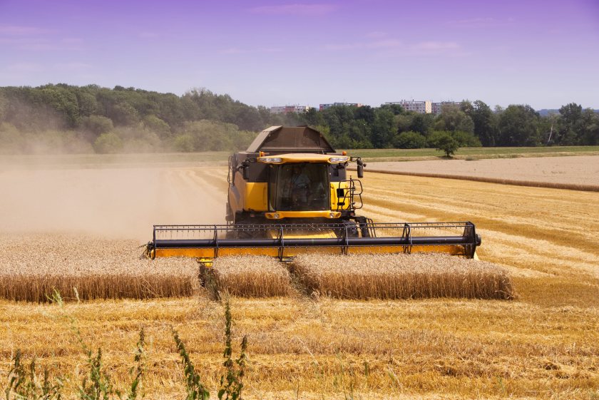 UK grain growers among hardest hit as European harvest losses soar