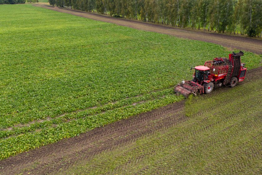 The agreement gives sugar beet growers a choice of fixed, market-linked and index-linked contract options