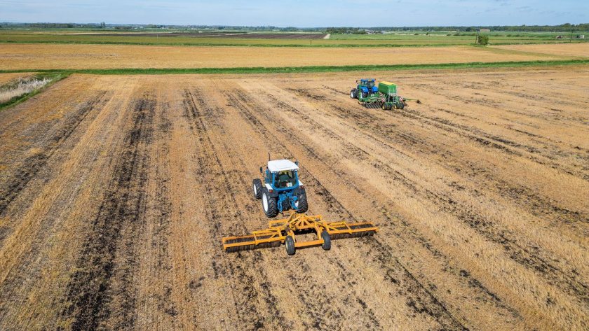 136 hectares of farmland to be rewetted in Great Fen project