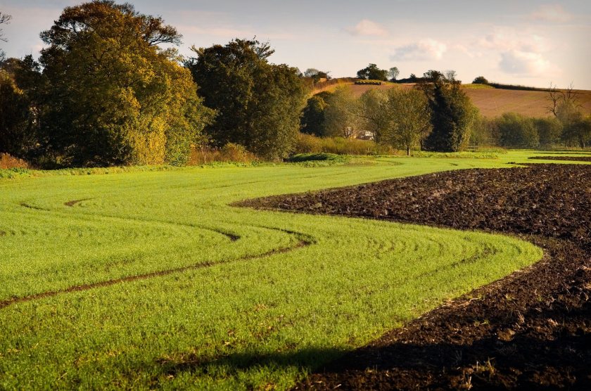 British farmers and retailers are urging budget tax reforms to boost food production and security