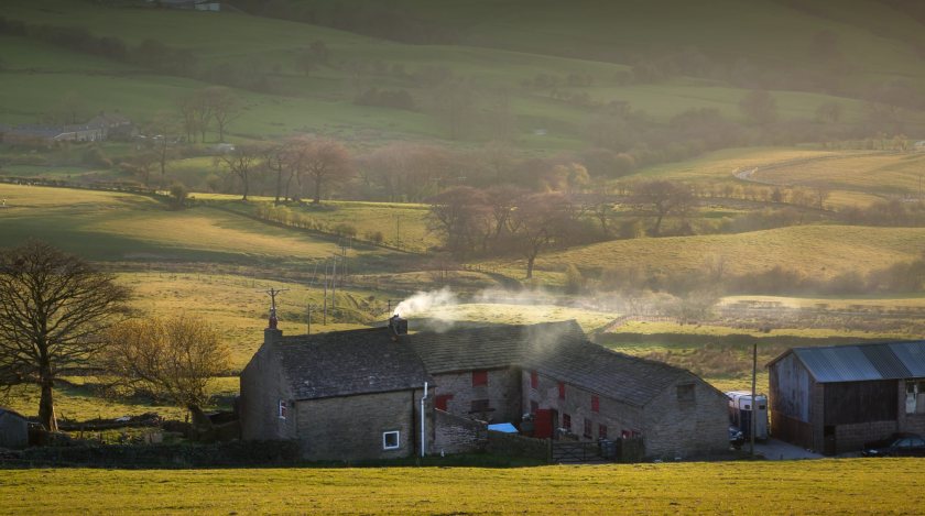 British farmers face mounting financial uncertainty as MPs examine the resilience of the UK's food supply