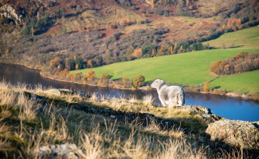 Wales' fourth national park faces axe amid farming backlash