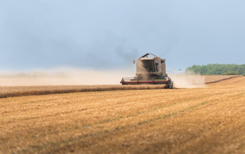 UK farming's calorie output falls below decade average, new figures show