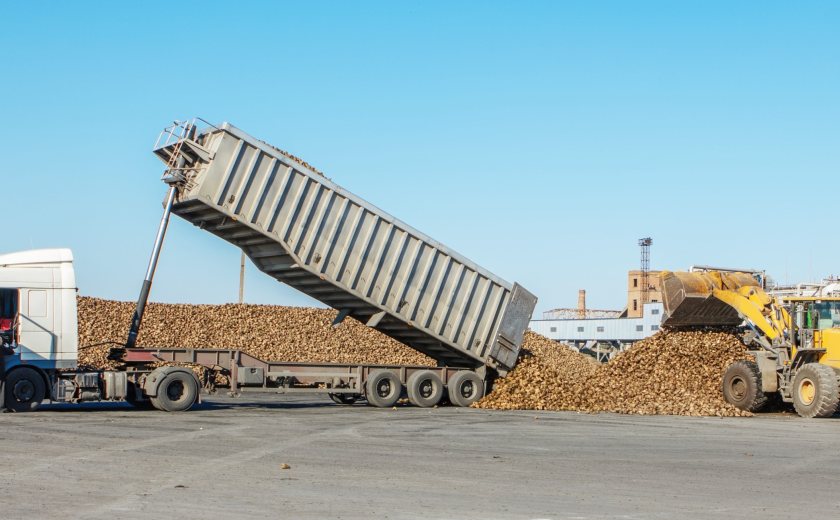 Sugar exports to the EU have plunged by 70%, highlighting the challenges facing UK growers