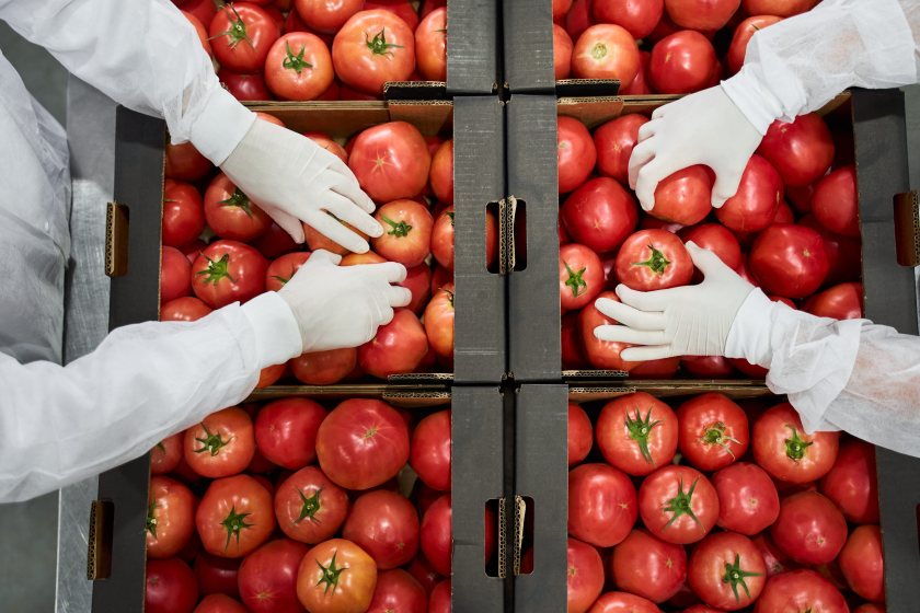 Industry leaders warn that additional import costs could push up fruit and vegetable prices for British consumers