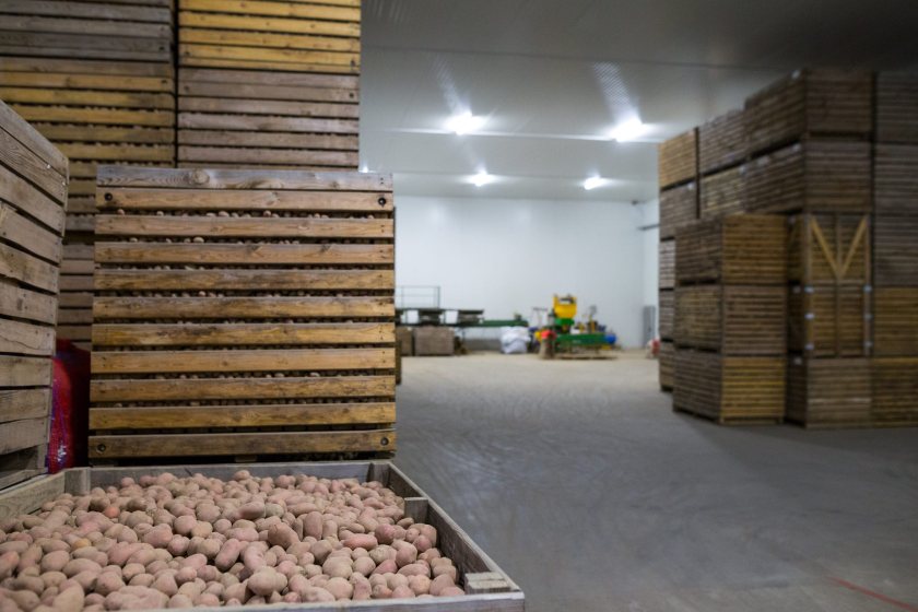 Rising storage costs are adding to financial pressures facing potato growers in Northern Ireland