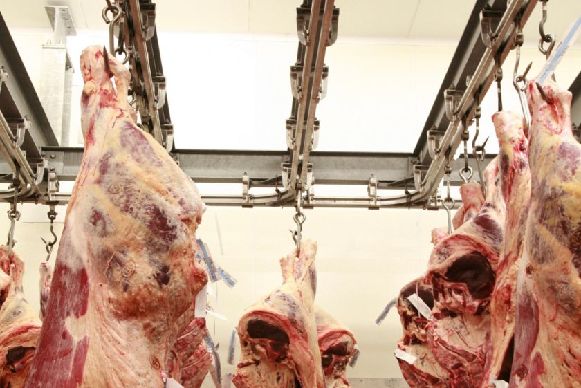 Britain's abattoir crisis deepens as numbers plunge to just 200