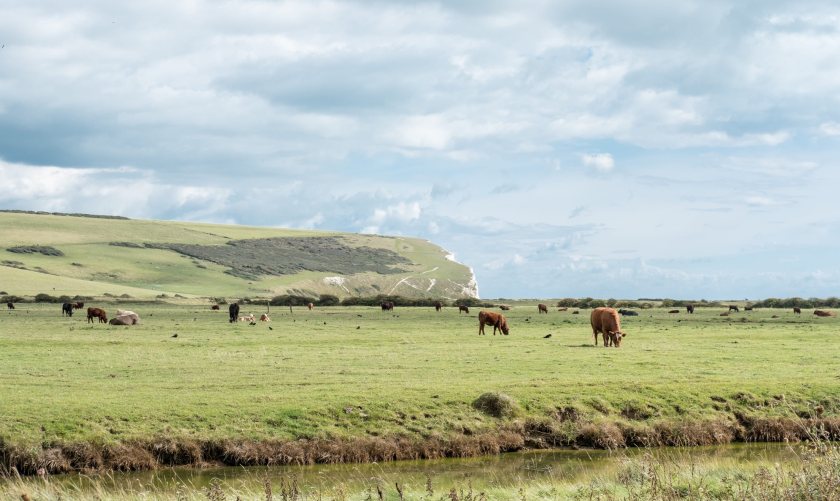 Beef farmers across England, Wales and Scotland will be encouraged to adopt more sustainable farming practices