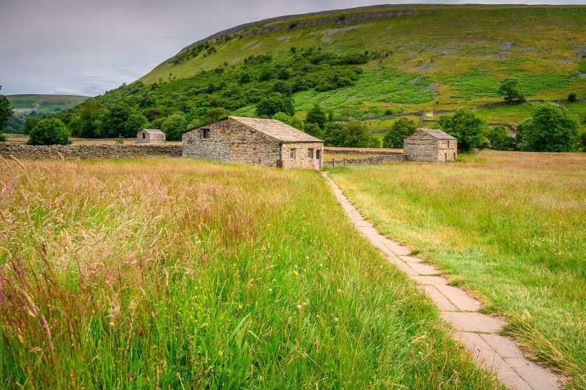England aims to double farms meeting wildlife standards from 21% to 42% by 2030