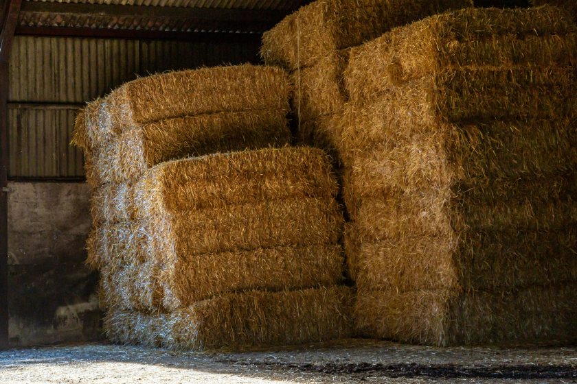 New foot-and-mouth restrictions imposed on hay and straw imports