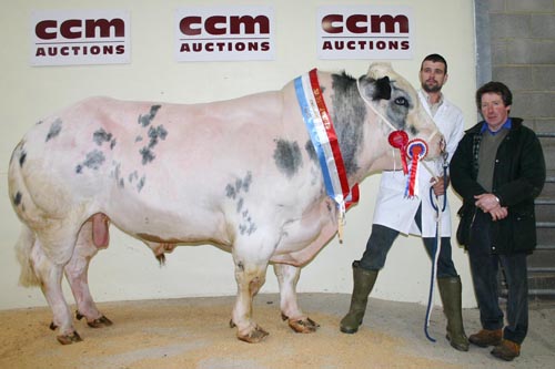 Gareth Hogg with his Skipton pedigree British Blue champion, joined by judge George Stapleton, right.