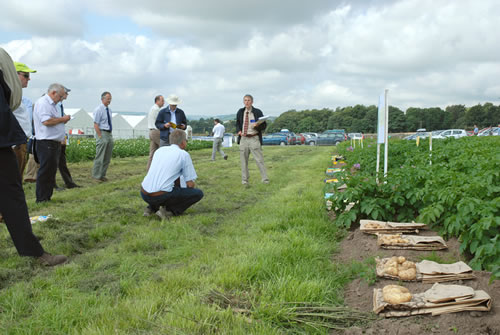 Potatoes in Practice, Gourdie Farm, by Invergowrie, Dundee Thursday 7th August 2008