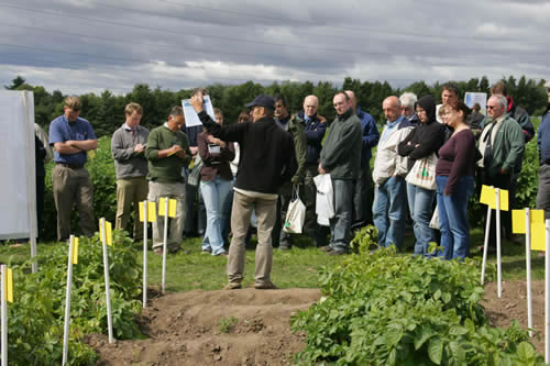Potatoes in Practice, Gourdie Farm, by Invergowrie, Dundee Thursday 7th August 2008