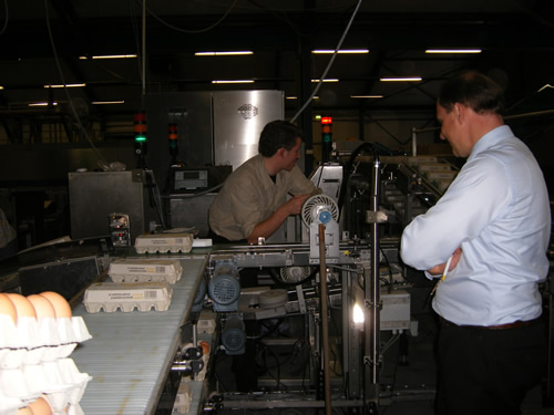 Mr Van Zetten keeps an eye on the automatic egg handling system