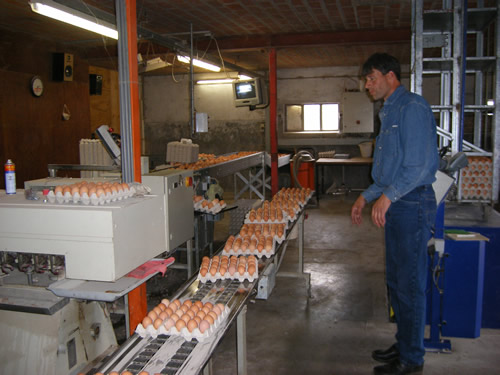 Mr Van Ginkels egg room