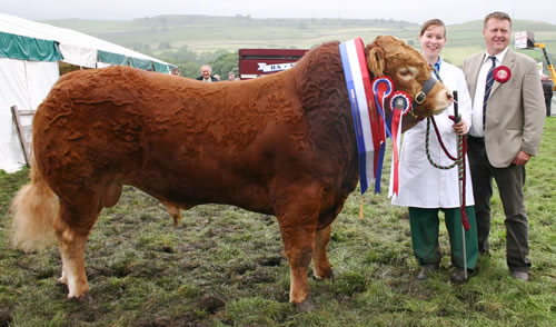 Laura Cooper with the Interbreed cattle supreme champion, joined by judge Nigel Simms, of Northwich