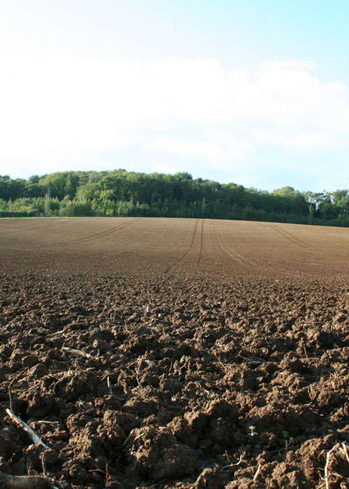 Growers battling against torrid conditions should invest extra time and effort establishing the best possible seedbed, says Patrick Stephenson.