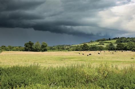 NFU: Budget must 'renew relationship' with farming or risk food security