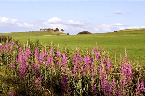 Countryside Stewardship reprieve secures lifeline for 5,000 farmers