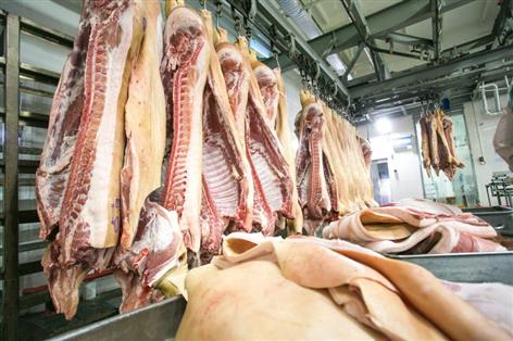 UK told to phase out pig CO₂ stunning amid welfare concerns