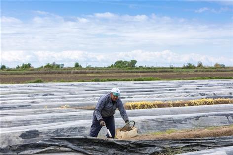 Farmers win breakthrough as seasonal worker rules overhauled