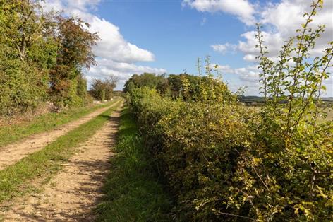 Lloyds maps £30bn green opportunity for UK farmers