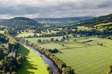 Beef and sheep farmers invited to join pioneering baselining study