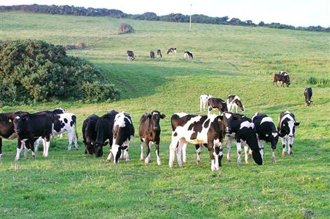 'Perfect storm' hits Welsh dairy farms as government urged to act
