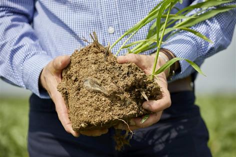 Waitrose invests £1m to help farmers shift to regenerative farming