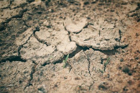 Farmers warned of year-long water struggle as drought drags into 2026
