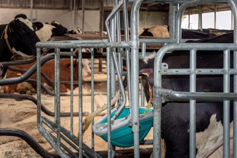 From moo to loo: 'CowToilet' promises cleaner, greener UK farms