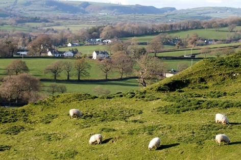 Parliamentary report warns Westminster is failing Welsh farmers