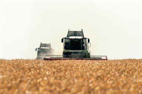 Global agriculture now 'playing by geopolitical rules', says Rabobank