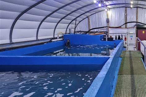 Prawn farms on UK farmland could power seafood shake-up