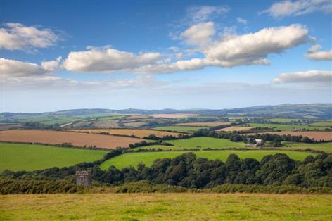 Carter Jonas warns budget could 'erode profitability' across rural economy