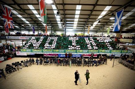 'NO IHT' message echoes from Royal Welsh Winter Fair