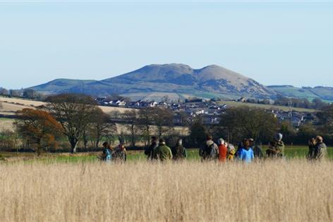Red tape and risk holding back Scottish farmers, new study warns