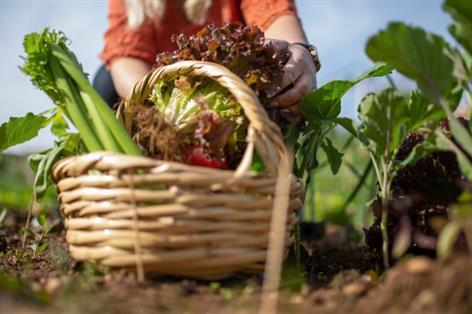 New Machinery Ring aims to turbocharge horticulture across Wales