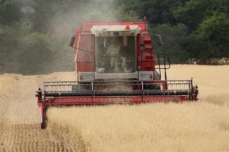 Lib Dems unveil 'Farm First' proposal to tackle ageing workforce