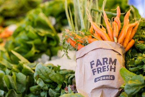 Scottish government unveils £500k boost for small food producers