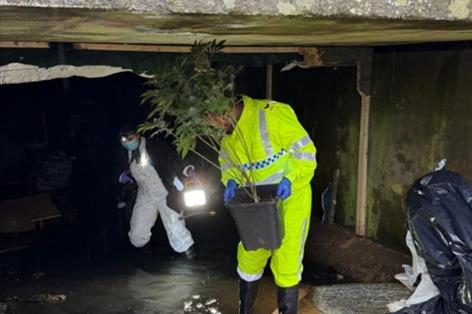 Farmer helps police shut down hidden cannabis operation under the M1
