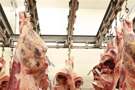 Small abattoirs set for 90% fee discount under new proposals